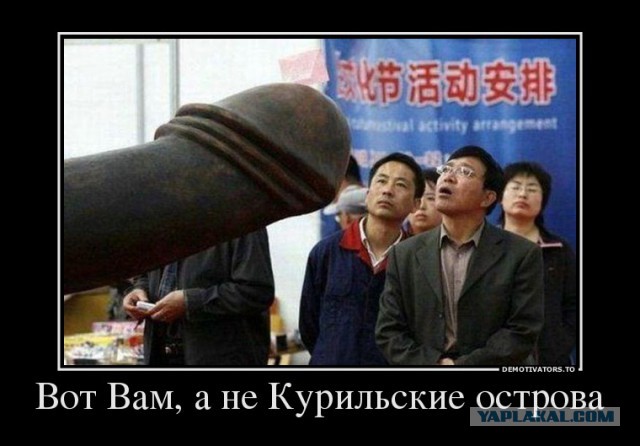В Госдуме посоветовали Японии забыть о Курилах