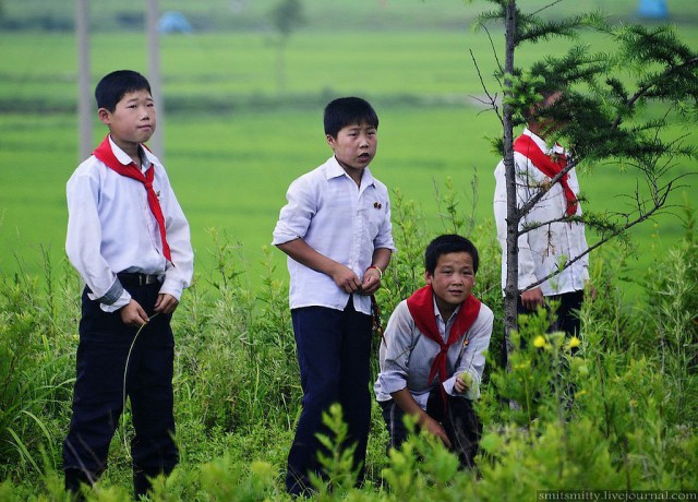 КНДР приоткрыла экспортные ворота для РФ