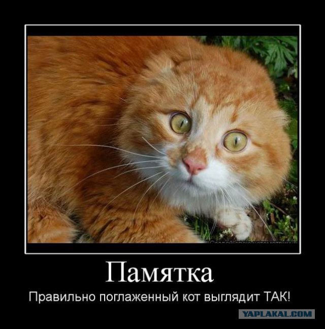Чёрт, чёрт, чёрт!