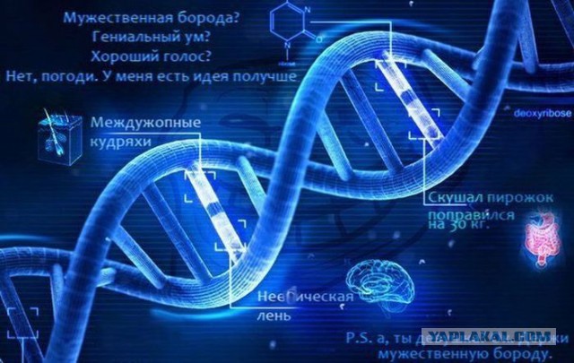 Немного позитива на пятницу