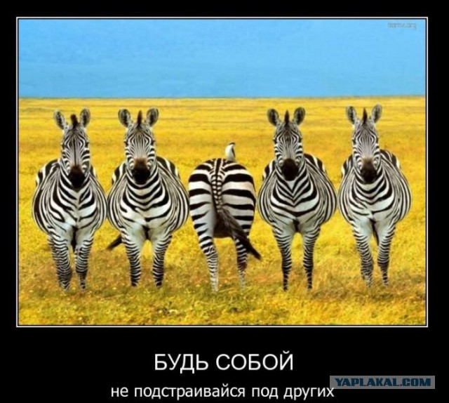 Небольшая подборочка