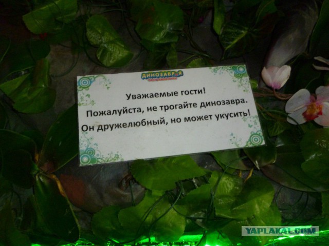 Лажи