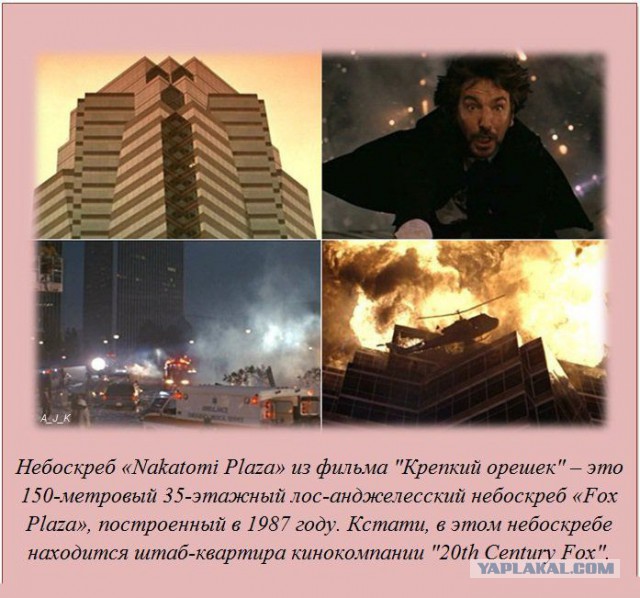 20 фактов обо всем