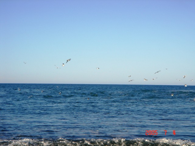Путина 2005, Камчатка