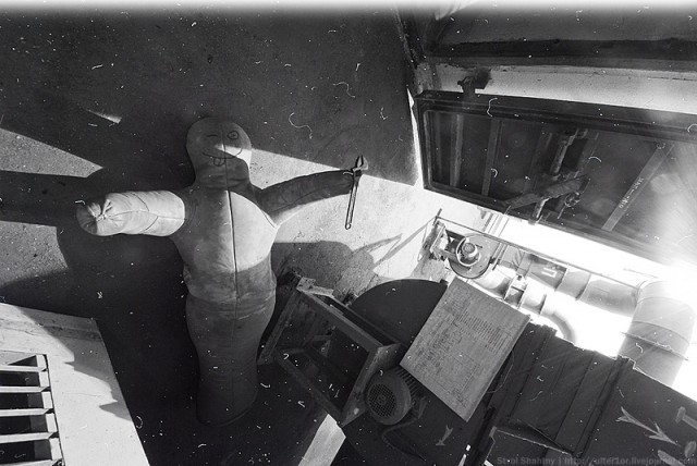 Чем заняться под ядерной волной?