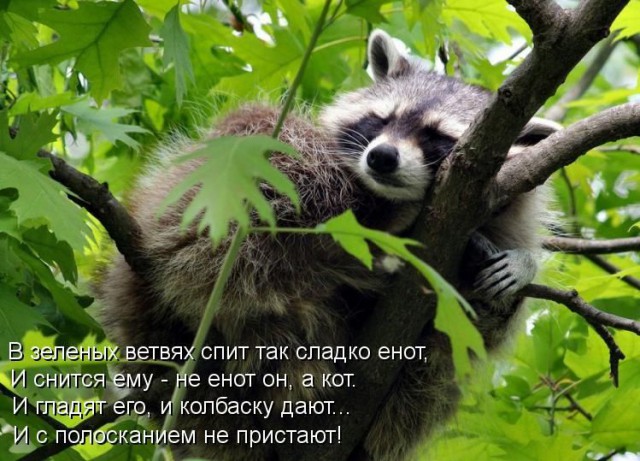 Когда кто-то плюсует твой заминусованый пост