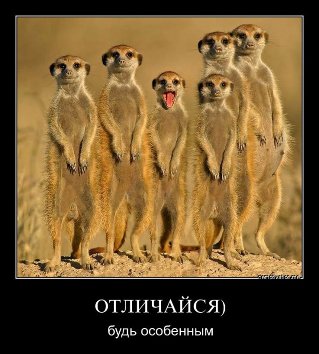 Вы хотите "демов"? часть 2-я