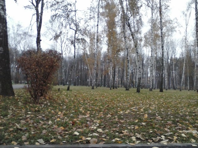 Харьковский парк культуры и отдыха им.Горького