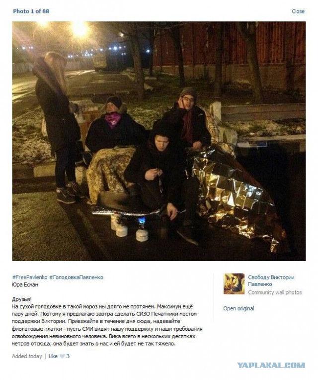 Признали виновной в краже собаки-поводыря.