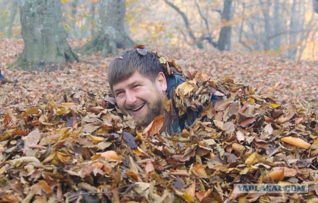 Подборка прикольных фото на среду