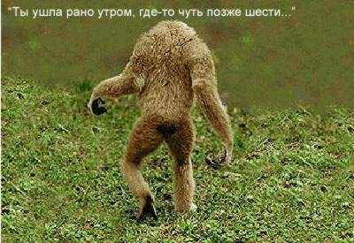 Я уржался!