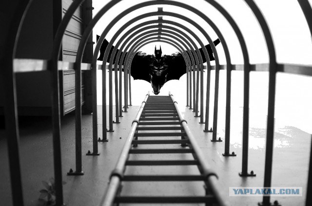 Nikon пришлось извиняться за награждение автора отфотошопленного снимка