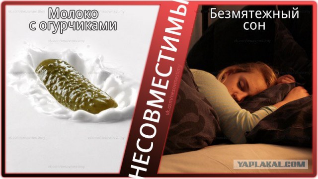 50 на 50: даже не верится, что это части одной фотографии