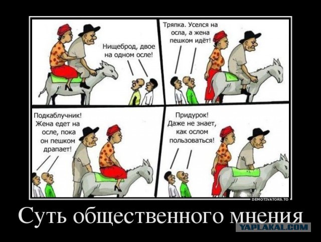 Модели plus-size посоветовали похудеть и "не позориться"