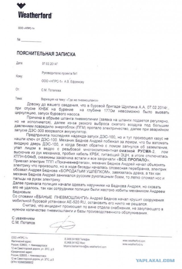 Весёлые картинки