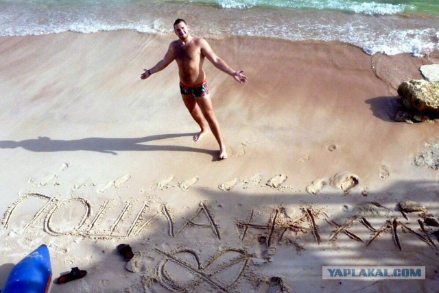 Картинки и приколы из сети