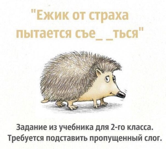 Картинки из этих ваших инторнетов