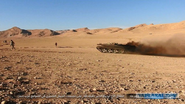 Смертник на джипе застрял во рву с водой.