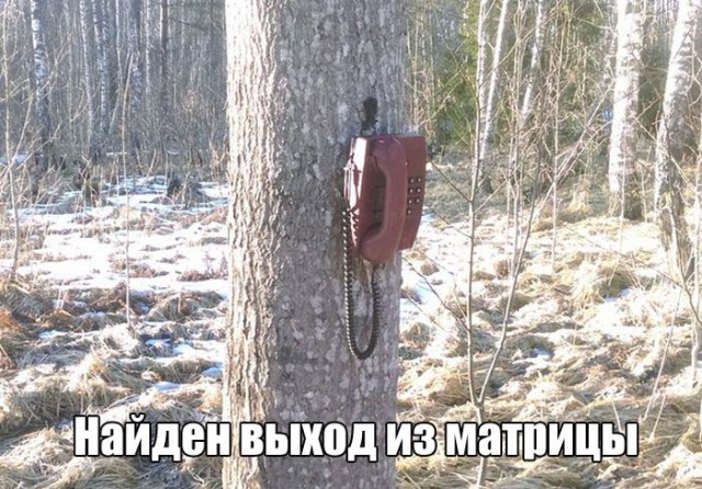 Подборка безудержного веселья