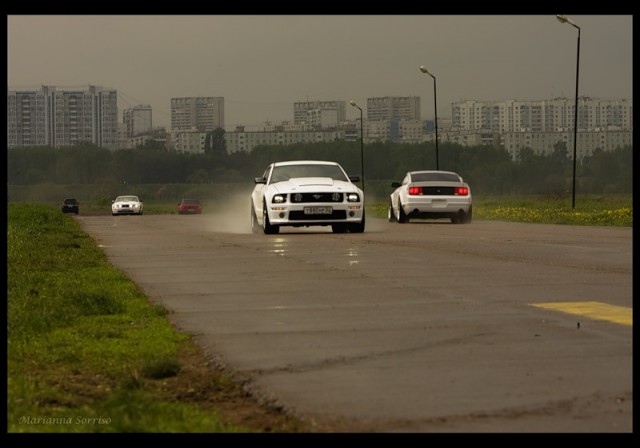 ДР mustang club