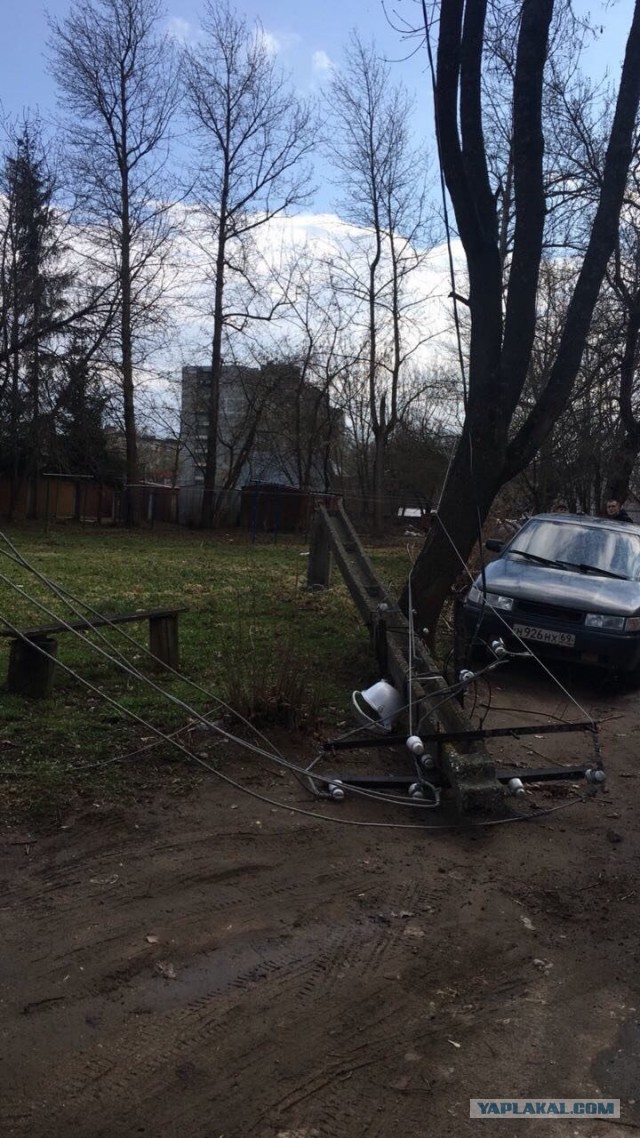 В Москве из-за шторма пострадали 12 человек