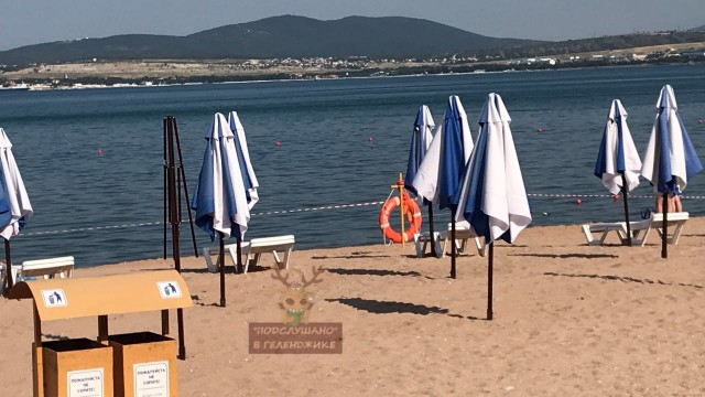 "Грязевые добавки". Море в Геленджике стало коричневым из-за фекалий