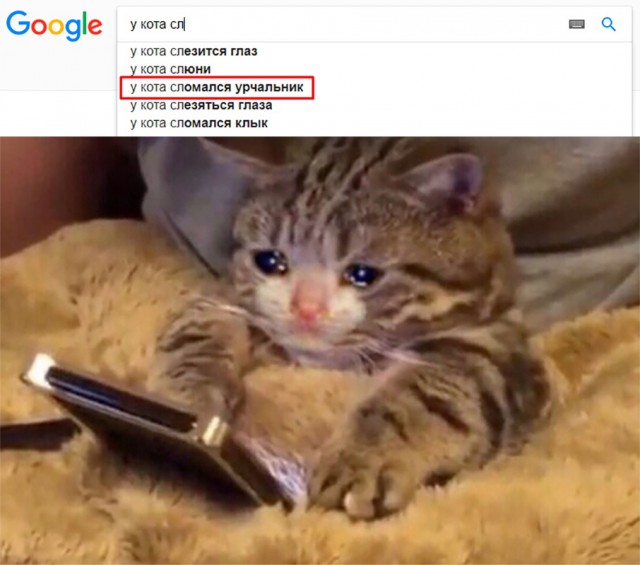 Немного милоты