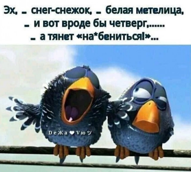 Стандартный адекватный юмор в картинках для всех