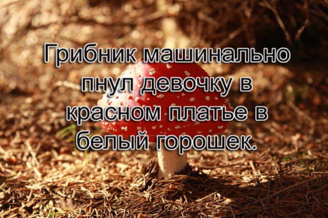 Отряды быстрого деградирования