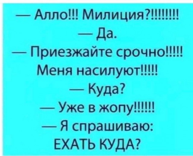 Делаем уроки, бутерброды, охотничью собаку и присоединяем Австрию к России