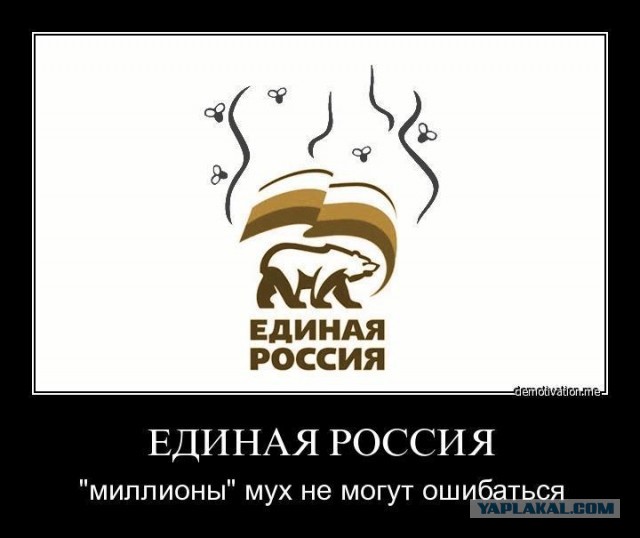 Вороны над домом Правительства РФ