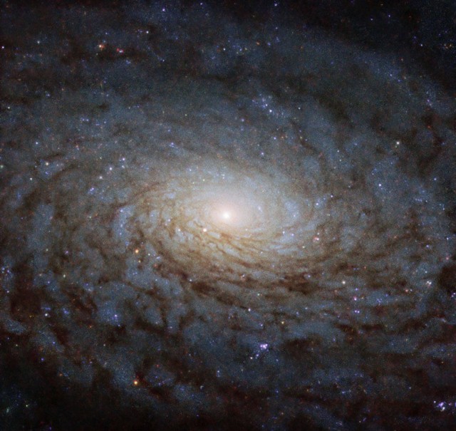Телескоп "Хаббл" продолжает радовать  поразительными  видами космоса