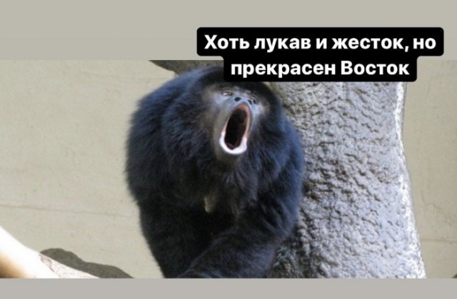 Бредзона 23.04.20