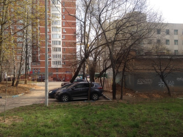 Проснулся сегодня, выглянул в окно - а там все в снегу