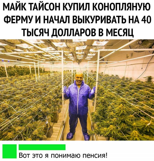 Подборка баянов