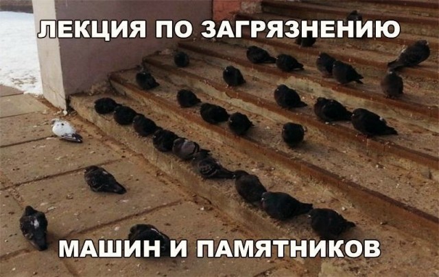 Так себе картинки 03.07.20