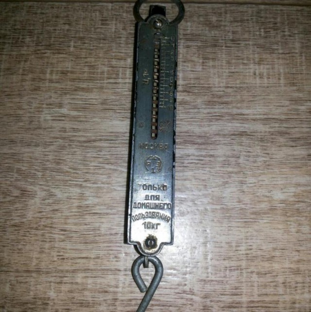 Весы