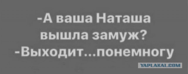Бредзона 28.10.2020