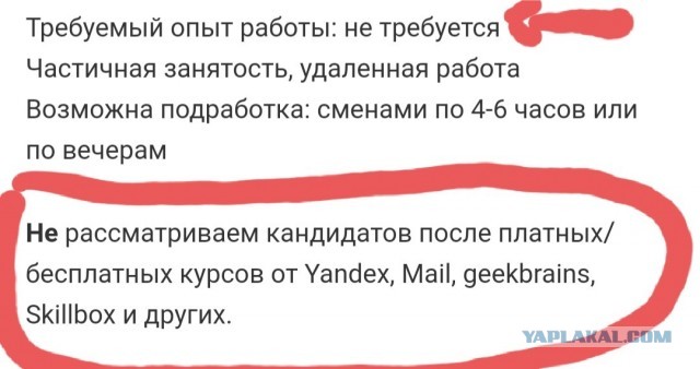 Продавцы воздуха: о людях, торгующих онлайн-курсами