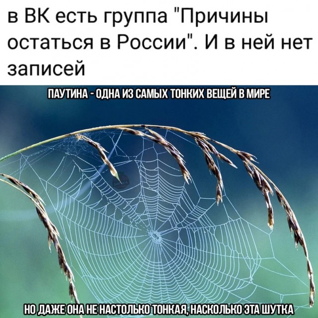 Весёлый полтишок 14.07