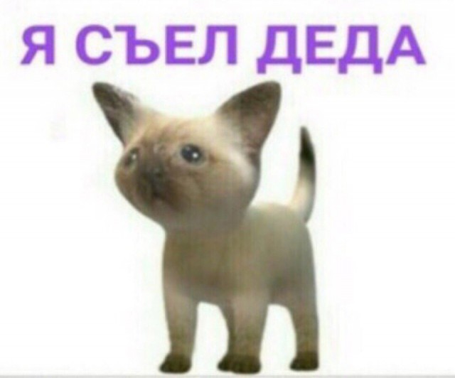 Байден и хорошая девочка
