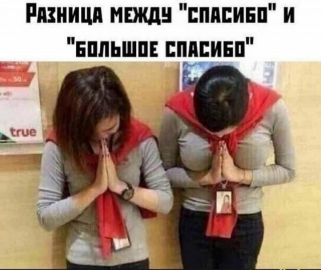 "Купил коту игрушку" и другие картинки