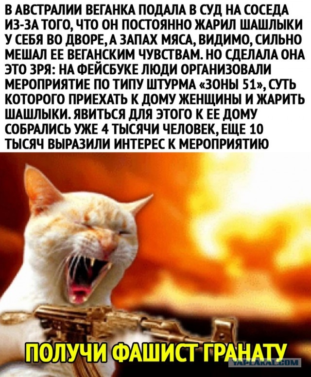 Чуток картинок 16.02.22