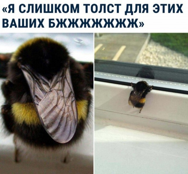 Баянисто-небаянистый юмор 7.04.22