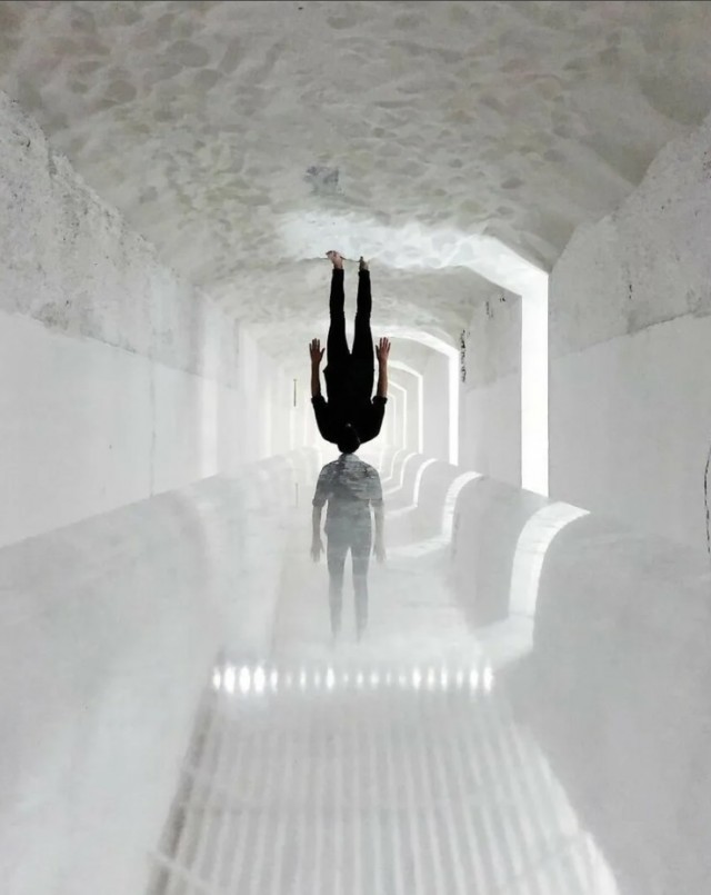 Это нужно развидеть: 14 забавных фото, которые обманут ваше зрение