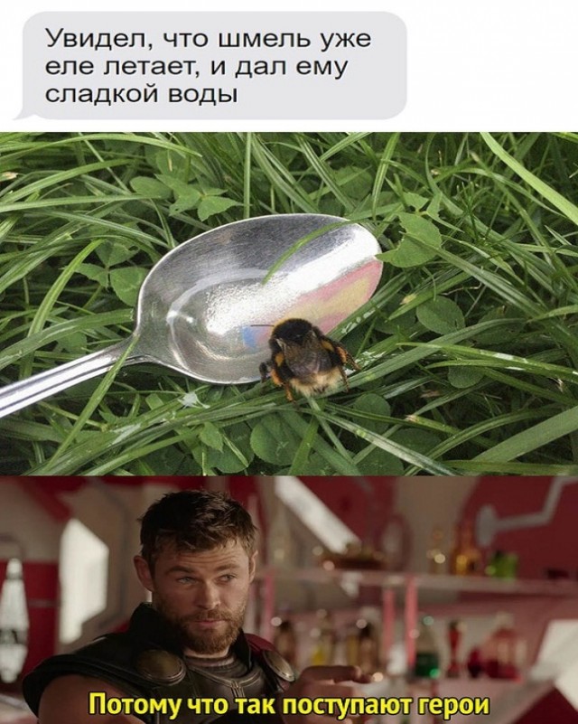 Картинки и мемы для настроения. Выходные рядышком...