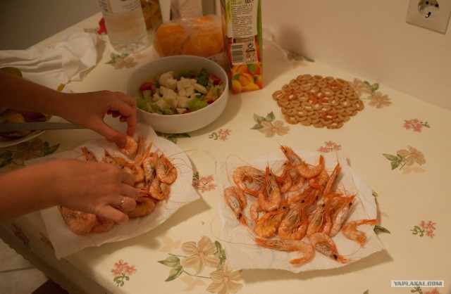 Поездка в Хорватию