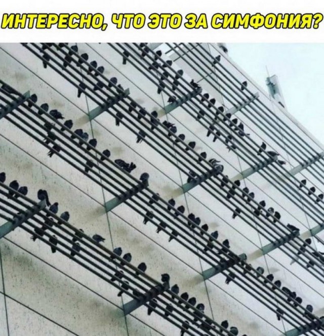 Немного картинок для настроения - 105
