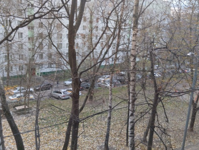 За окном