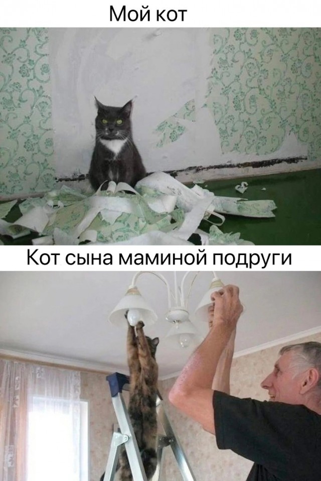 50 оттенков серого или самосвал баянов. Vol.28